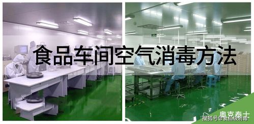 食品生產車間空氣消毒的三大有效方法與霉菌消毒劑應用指南