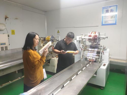 新密市劉寨鎮市場監管所開展食品生產企業夏季專項檢查