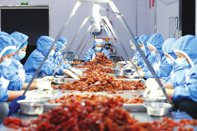 山西康順達食品股份 協同發展釋放活力，引領食品生產新篇章