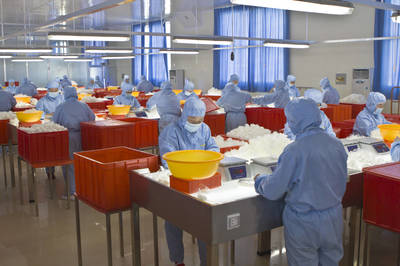 招遠(yuǎn)重點(diǎn)項(xiàng)目新春跑出“加速度”，保健食品生產(chǎn)迎新篇章