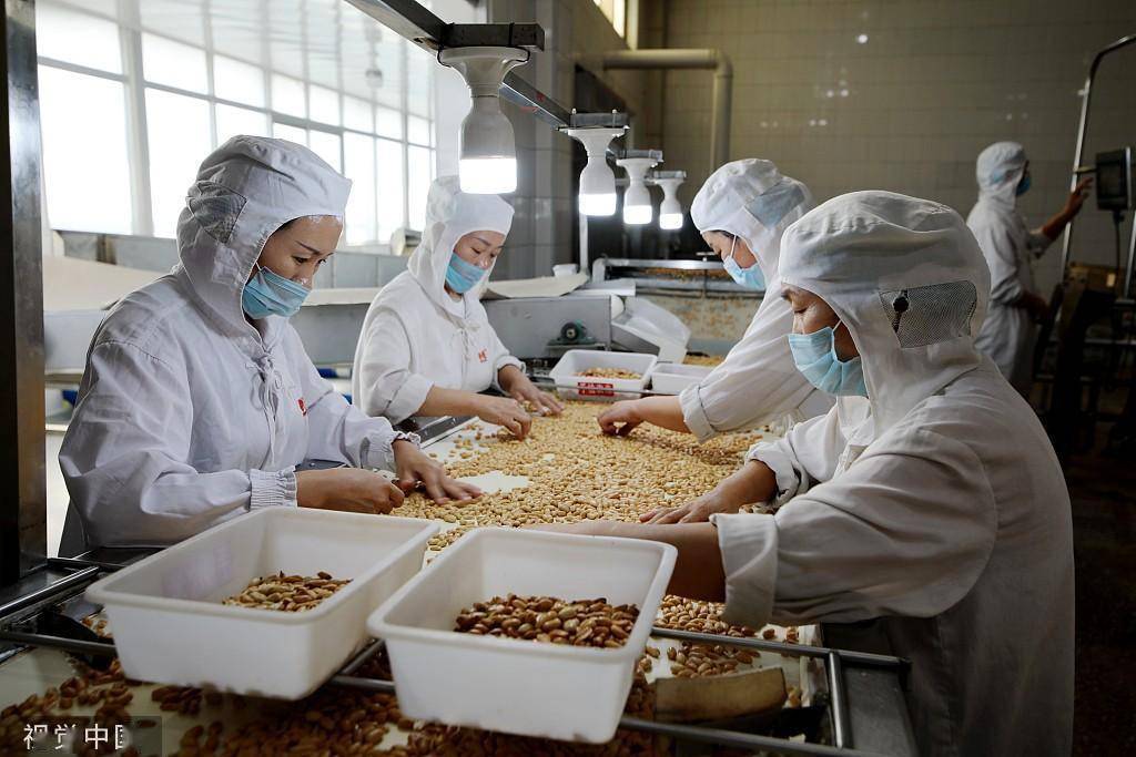 臨沂食品企業(yè) 深加工花生，提升農(nóng)產(chǎn)品附加值，打造國(guó)家保健食品生產(chǎn)新標(biāo)桿